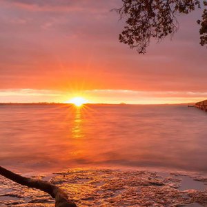 大肚子孕妇做爱视频
